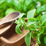 Does Stevia Really Help Fight Acne