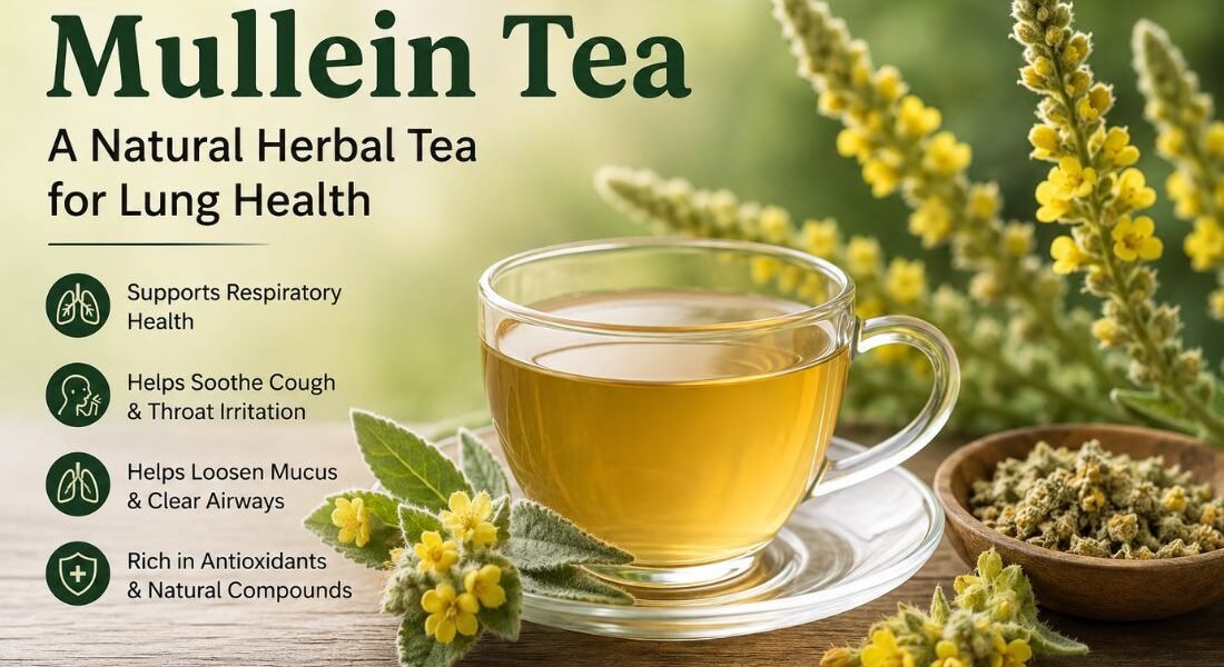 Mullein Tea for Lung Health - Healthfolksdaily